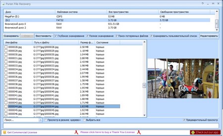 Puran File Recovery: Результаты поиска удаленных файлов