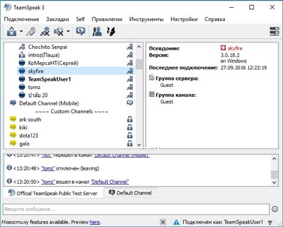 TeamSpeak: внешний вид программы